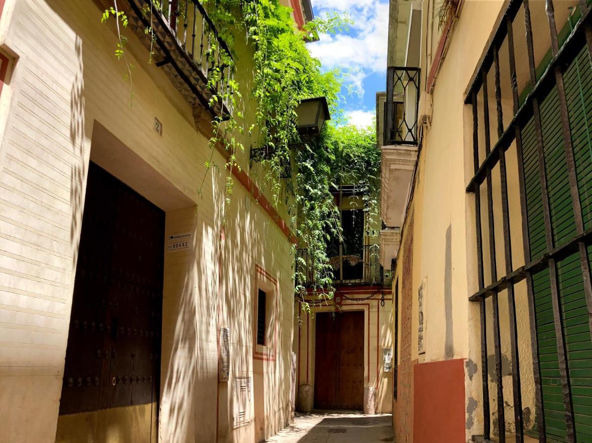 Acogedor Apt 8Pax 4Bdr 2Bth- Cozyhomesevilla2 Zewnętrze zdjęcie